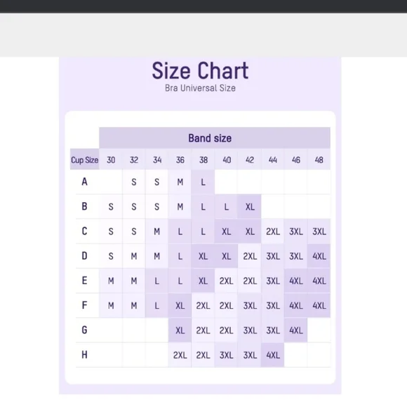 Seamless Black Bra - Picture 4 of 4